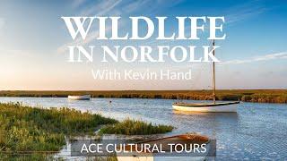 Wildlife in Norfolk with Kevin Hand | ACE Cultural Tours