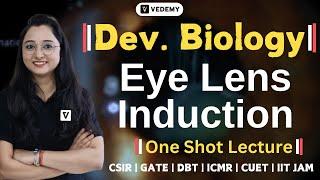 Eye Lens Induction | Development Biology | One Shot Lecture | Jyoti Kumari | CSIR | DBT | GATE |