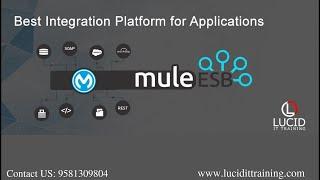 Mulesoft Training Demo - Lucid IT Training