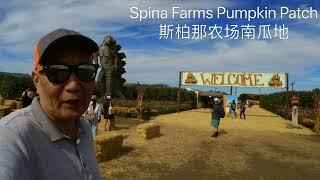 Spina Farms Pumpkin Patch 斯柏那农场南瓜地，追梦者胡 0342024