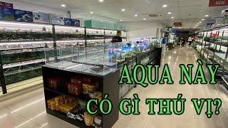 Tham Quan Cửa Hàng King-Aqua - Cửa Hàng Thủy Sinh - Cá Cảnh Tại Hà Nội