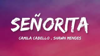 Shawn Mendes, Camila Cabello - Señorita (Lyrics)