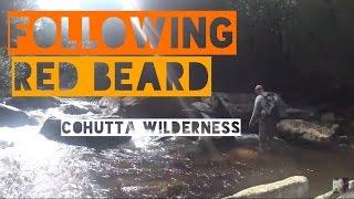 The Cohutta Wilderness (HD)