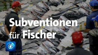 Verhandlungen über weniger Subventionen für Fischer