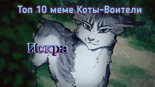 Топ 10 меме Коты-Воители: Искра