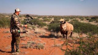 BOWHUNTING The WHITE RHINO w/ Josh Bowmar