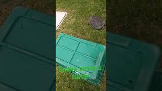 Snake  saves Turtle  Like Brian Barczyk | LIKE THIS VIDEO!