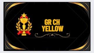 Gr Ch Yellow