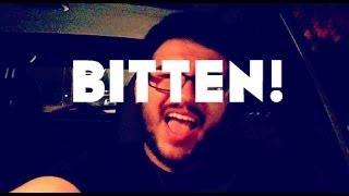 Feb 11: BITTEN!