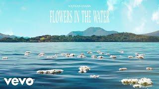 Nathan Evans - Flowers In The Water (Official Visualizer)