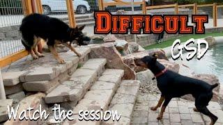 Wild session with a young people and dog reactive German Shepherd