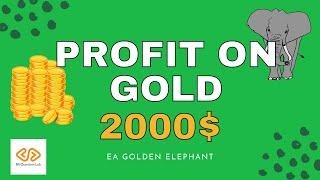  Profit from EA Golden Elephant 