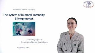 The system of humoral immunity. B-lymphocytes