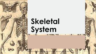 Basic Anatomy & Physiology 06 | SKELETAL SYSTEM   Reference   Seeley's