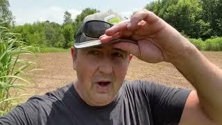 Planting Northwoods Whitetails Inc Brassica & Clover Food Plot Seed Blends