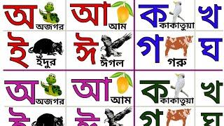 বাংলা বর্ণমালা শিখি |স্বরবর্ণ অ আ ই ঈ | ব্যঞ্জনবর্ণ ক খ গ ঘ | bangla bornomala | IQ Booster