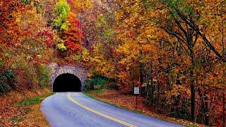 Blue Ridge Parkway Fall Color Asheville & NC Mountains