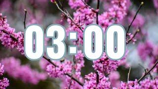 3 Minute Countdown Timer - Spring Blooms - Calm and Relaxing Music