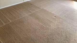 Its is soooooooo satisfying to have some clean carpets!!!