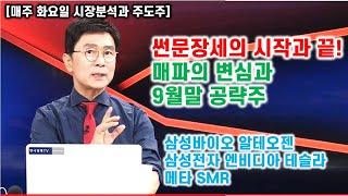 [김종철 원포인트레슨] 썬문장세의 시작과 끝 ! 매파의 변심과 9월말 공략주