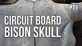 HOW TO CARVE A BISON SKULL (Bone Carving Tutorial Pt1)