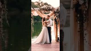 Backyard Wedding Backdrops/wedding backdrop Decor #shorts #shortsfeed #weddingplanner #weddingdecor