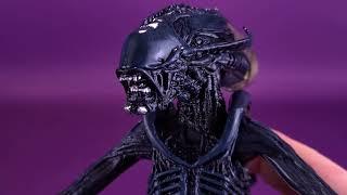 NECA Alien Vs Predator Arachnoid Alien Movie Deco Version @TheReviewSpot