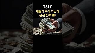 [월배당 ETF] 1탄-TSLY 초고배당 ETF 이해하기 #TSLY #월배당 #ETF #주식