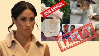 Meghan Markle's Embarrassing Failed Attempt to Upstage Princess Catherine With New ARO Jam!