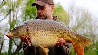 Catch Carp Hungary - Old Neverland Lake