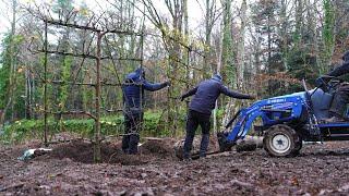 Completing the espalier walled garden, now to fill it.