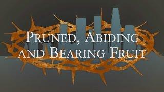 Pruned, Abiding and Bearing Fruit - John 15:1-8