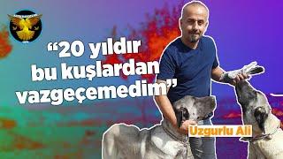 Kuş ve köpek seyrine davetliyiz / Kümes ziyareti