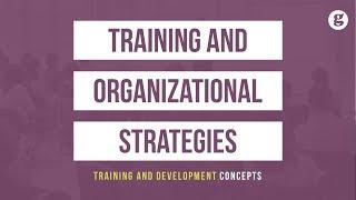 Training and Organizational Strategies