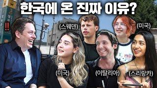 최근 한국 사는 외국인들 99%가 이것 때문에 다른 나라 못 간다? (의외의 이유ㄷㄷ) | 길거리 인터뷰