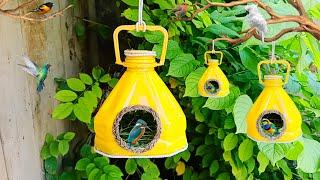 Bird house/ Bird house making at home/ plastic bottle craft ideas