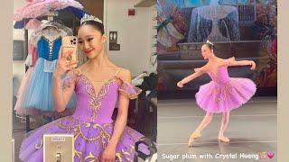 2024 Sugar plum🩰 Crystal Huang