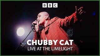 Chubby Cat | OH HONEY! | Live At The Limelight