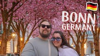 Cherry Blossoms and Amazing Beer In Bonn, Germany! 