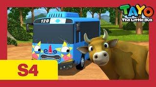 Tayo S4 EP18 l Tayo goes to the countryside l Tayo the Little Bus l Season 4 Episode 18