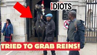 Idiot Tourist Tried to Grab the Horse Reins – See the Guard's Reaction