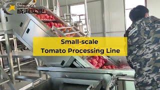 China Small-scale Tomato Paste Processing Line