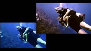 Seafari/ClubMed Diving Color Correction