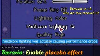 Nobody knows what Multicore Lighting did in Terraria. ─ "Better Performance" for Terraria!?