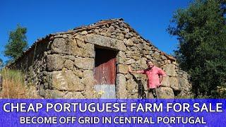 CHEAP PORTUGUESE FARM FOR SALE - START YOUR LIFE OFF GRID ON A CENTRAL PORTUGAL HOMESTEAD