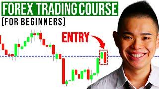 The Ultimate Forex Trading Course (For Beginners)