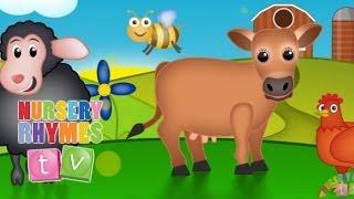 BAA BAA BLACK SHEEP & FRIENDS | New Nursery Rhymes | English Songs For Kids | Nursery Rhymes TV