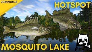 Ruffe Hotspot Mosquito Lake Russian Fishing 4