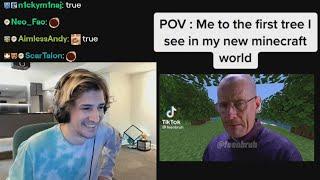 xQc reacts to POV: me to the first tree i see in my new Minecraft world