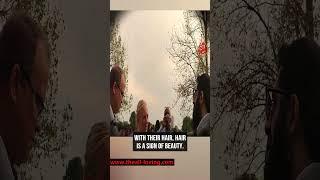 Do You wear Hijab In Your Religion! Smile 2 Jannah & American Lady | Speakers Corner